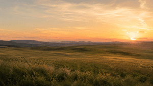 Atardecer en las Tierras Altas de Soria