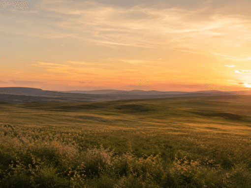 Atardecer en las Tierras Altas de Soria