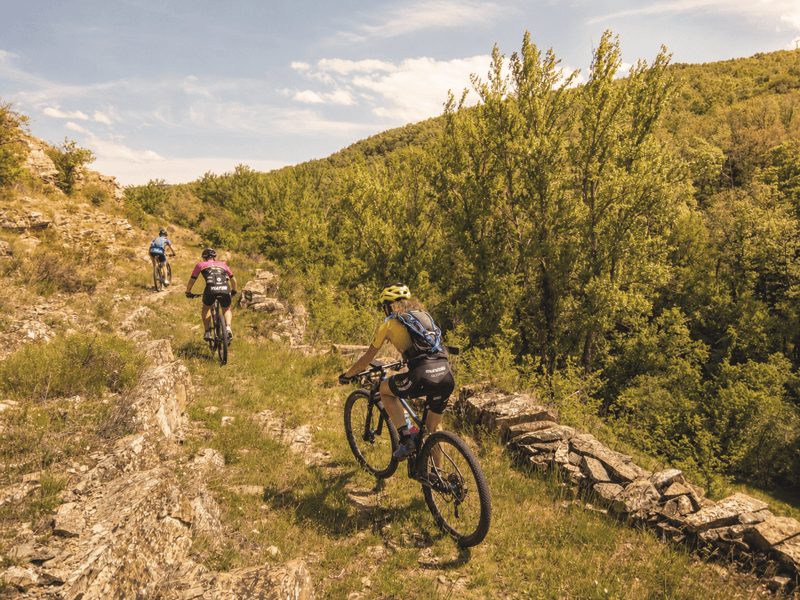 Ciclistas BTT por las Tierras Altas