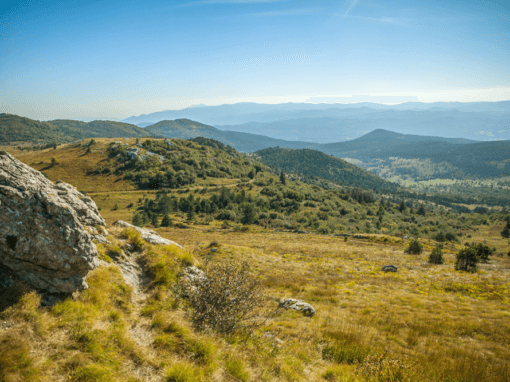 Paisaje de la comarca